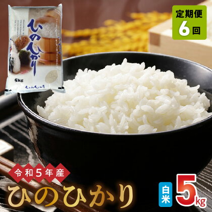 定期便6回 令和5年産米 ヒノヒカリ 5kg 熊本県宇土市産 冷めても美味しい 白米 進栄 食感 モチモチ 甘み ツヤ お米 食品 おにぎり お弁当 最適 米 ご飯 西日本有数の米どころ 熊本 九州 お取り寄せ 送料無料【熊本県宇土市】