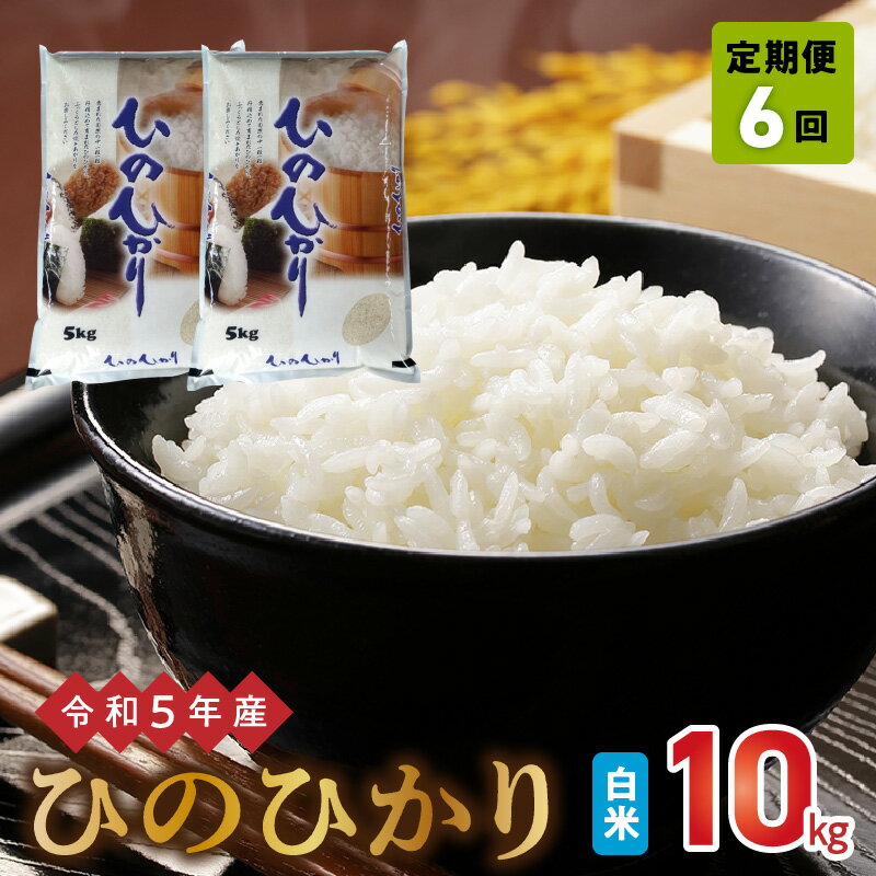 【ふるさと納税】定期便6回 令和5年産米 ヒノヒカリ 10kg 熊本県宇土市産 冷めても美味しい 白米 進栄 食感 モチモチ 甘み ツヤ お米 食品 おにぎり お弁当 最適 米 ご飯 西日本有数の米どころ 熊本 九州 お取り寄せ 送料無料【熊本県宇土市】