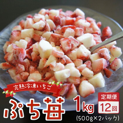 園村苺園 完熟冷凍いちご「ぷち苺」1kg（500g×2パック）【定期便 12回】【熊本県宇土市】