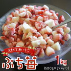 【ふるさと納税】食べ方無限大 完熟 冷凍 いちご ぷち苺 1kg 500g × 2パック さちのか クラッシュタイプ 急速冷凍 園村苺園 宇土市産 デザート 果物 果肉 ヨーグルト アイス 練乳 スムージー ギフト 贈り物 おやつ 子供 大人 お取り寄せ 送料無料【熊本県宇土市】