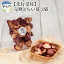 【ふるさと納税】園村苺園【先行受付】完熟どらい苺 50g×3