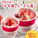 【ふるさと納税】園村苺園 宇土産 完熟冷凍いちご「ぷち苺」と「さら苺」各6カップ 練乳付き【熊本県宇土市】