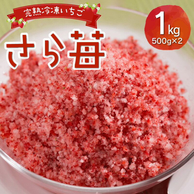 6位! 口コミ数「3件」評価「5」園村苺園 完熟 冷凍いちご さら苺 1kg 500g × 2パック 国産 熊本県宇土産 さちのか 急速冷凍 フローズン パウダー状 スイーツ･･･ 