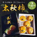 【ふるさと納税】柿 贈答用 太秋柿 約 2kg 5玉 〜 6玉 宇土市産 国産 ジューシー サクサク 食感 甘い 美味しい こだわり 上品 えのしまファーム 果...