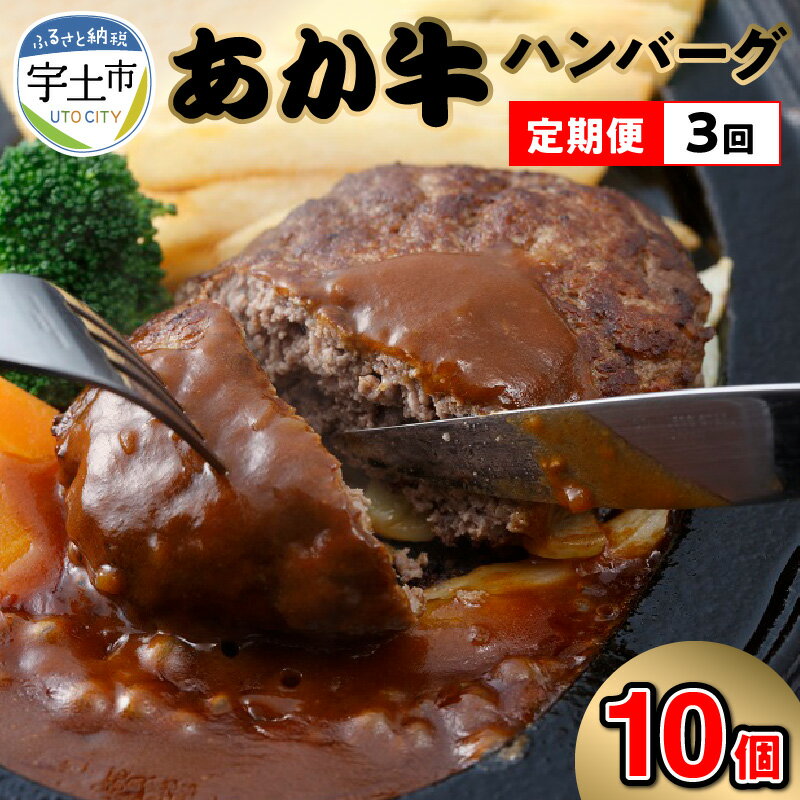 15位! 口コミ数「0件」評価「0」定期便 3回 ハンバーグ 150g 10個 1.5kg 手作り 牛肉 あか牛 和牛 褐毛和牛 国産和牛 熊本産 冷凍 肉三代目 ジューシー ･･･ 