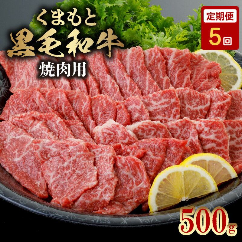 【定期便5回】くまもと黒毛和牛 焼肉用 500g 黒毛和牛 安心 安全 美味しい 軟らかい 旨味 熊本 牛肉 肉 お肉 冷凍 食品 食べ物 肉三代目 国産 お取り寄せ お取り寄せグルメ 送料無料【熊本県宇土市】