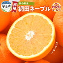 【ふるさと納税】ネーブル フルーツ 果物 安心安全 完熟 網田ネーブル 約 3kg 8玉 ~ 12玉 ジューシー 酸味 甘み 国産 オレンジ 最高峰 皇室への献上品 お取り寄せ お取り寄せグルメ 送料無料【熊本県宇土市】