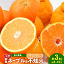 【ふるさと納税】網田ネーブル 不知火 詰め合わせ 約 3kg 半分ずつ 8玉 ~ 10玉 ネーブル オレンジ フルーツ 果物 常温 安心安全 ジューシー 酸味 甘み 国産 ビタミンC 果汁 食べ比べ お取り寄せ お取り寄せスイーツ 送料無料【熊本県宇土市】