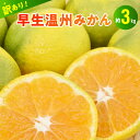 【ふるさと納税】訳あり 柑橘 早生 温州みかん 約 3kg みかん 甘い 果物 フルーツ デザート おやつ 果実 国産 安全 安心 常温 食品 食べ物 村田果樹園 お取り寄せ お取り寄せスイーツ 送料無料【熊本県宇土市】
