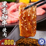 ڤդ뤵Ǽǡ۵ µ ɹ  800g   µ Ƥ С٥塼 BBQ ѡƥ ȥɥ    Ȥʼ    쥸㡼 ̵ڷܸڻԡ