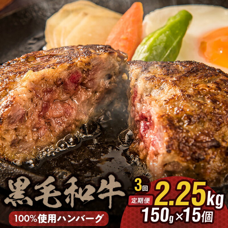 【ふるさと納税】定期便 3回 ハンバーグ 150g 15個 