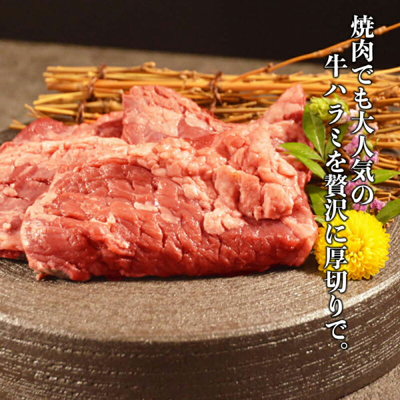 【ふるさと納税】ハラミ 牛肉 厚切り ハーフ ステーキ 400g × 2パック 計 800g 軟化加工 牛ハラミ お肉 肉 筋切 柔らかい 肉汁 旨味 甘味 赤身 濃厚 焼肉 バーベキュー 食品 小分け 保存 便利 お取り寄せ お取り寄せグルメ 冷凍 送料無料【熊本県宇土市】