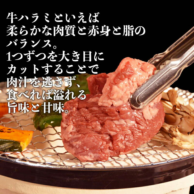 【ふるさと納税】ハラミ 牛肉 厚切り ハーフ ステーキ 400g × 2パック 計 800g 軟化加工 牛ハラミ お肉 肉 筋切 柔らかい 肉汁 旨味 甘味 赤身 濃厚 焼肉 バーベキュー 食品 小分け 保存 便利 お取り寄せ お取り寄せグルメ 冷凍 送料無料【熊本県宇土市】