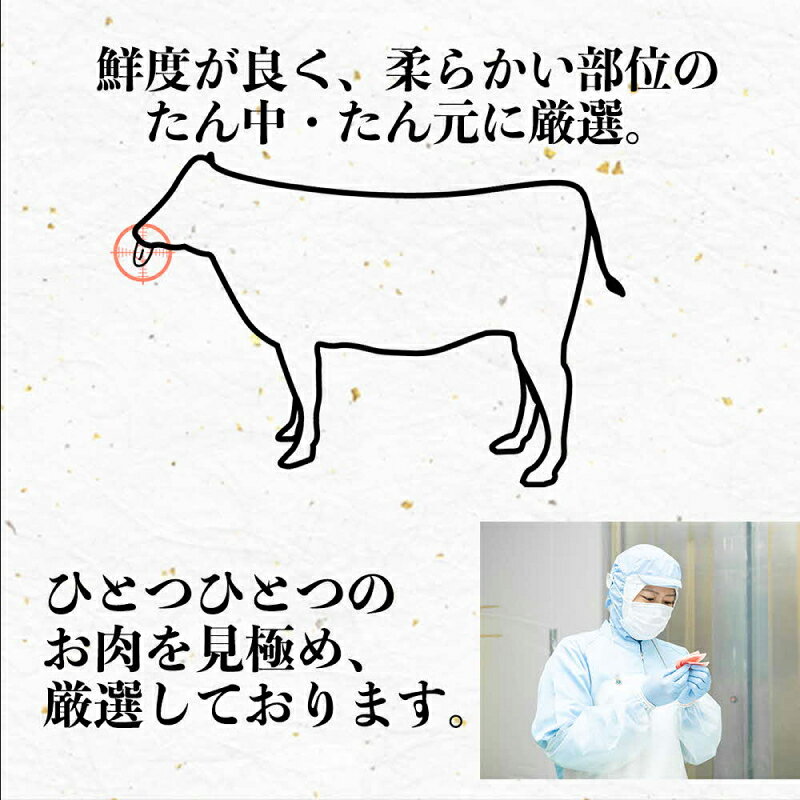 熊本県宇土市の画像3