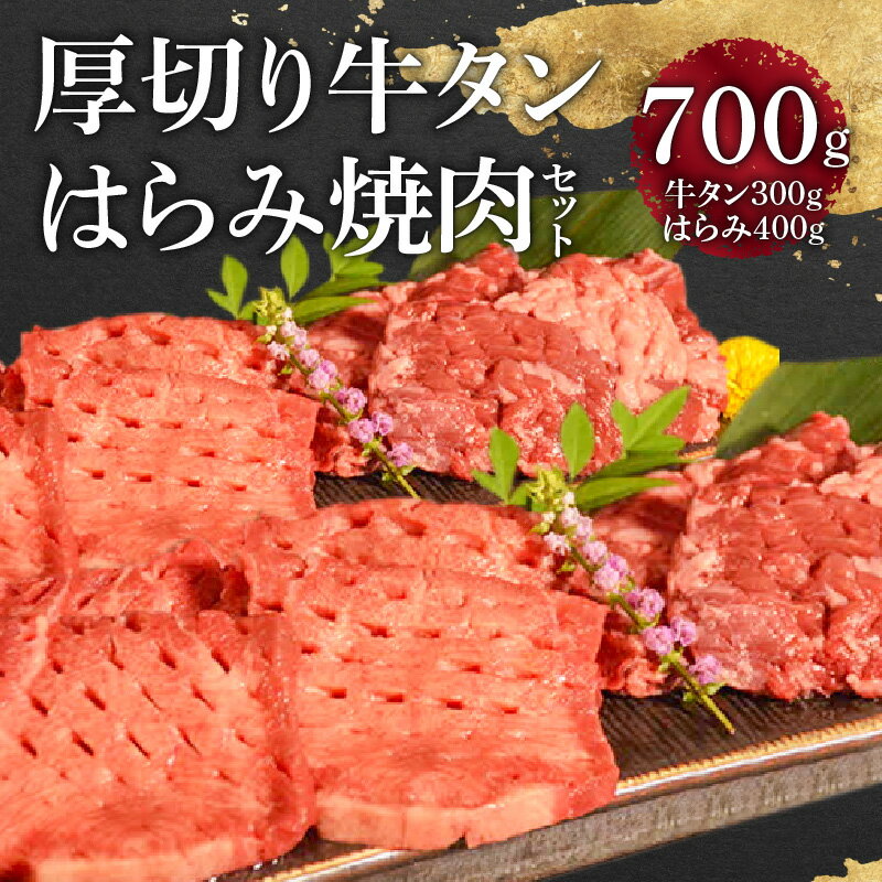【ふるさと納税】オアシス九州 牛タン ハラミ 焼肉 セット 