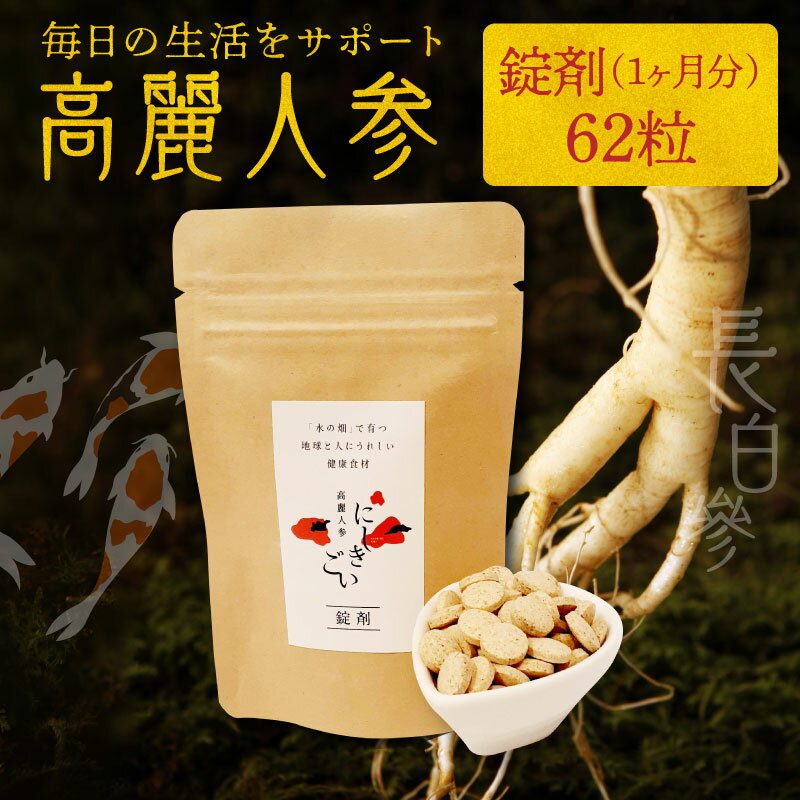 18位! 口コミ数「0件」評価「0」高麗人参 錠剤 1か月分 62粒 お手軽 持ち運び 便利 毎日 生活 健康 サポート 朝鮮人参 長白參 アクアポニックス 水耕栽培 サポニン･･･ 