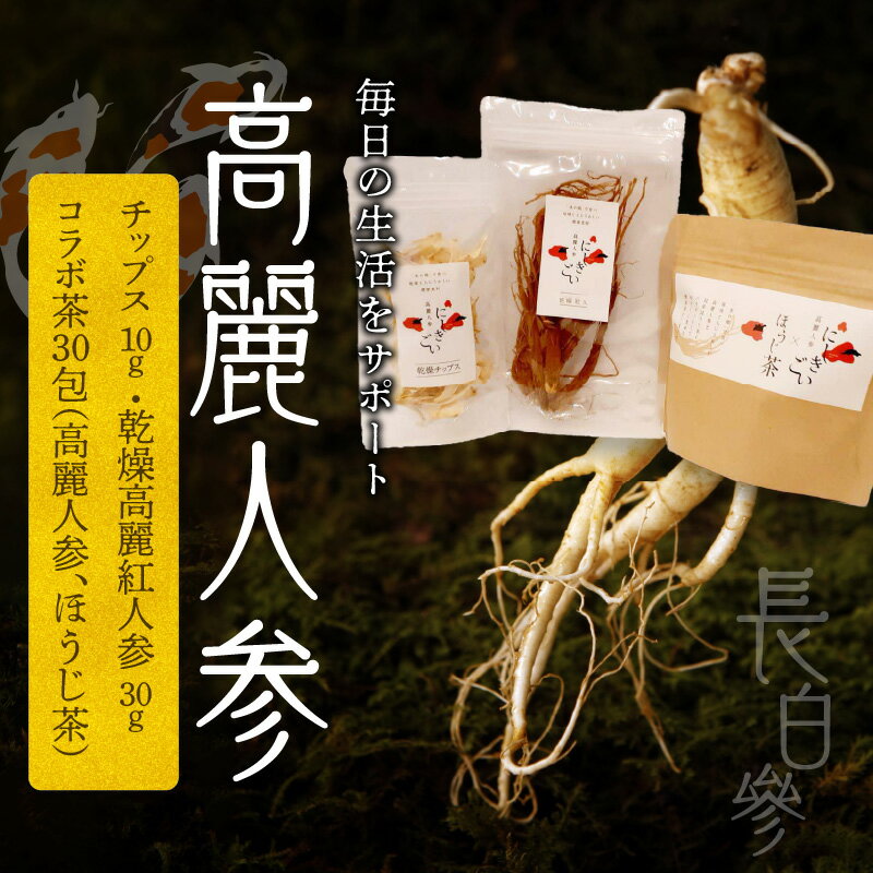 【ふるさと納税】高麗人参 チップス 10g 乾燥高麗紅人参 30g コラボ茶 ほうじ茶 30包 長白參 国産 アクアポニックス 水耕栽培 生活 サポート 国産ほうじ茶 サポニン にしきごい ナカファーム お取り寄せ 送料無料【熊本県宇土市】