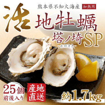 【ふるさと納税】活 天草地牡蠣セット 塔ノ埼SP 1個あたり約70g 25個前後 計約1.7kg 加熱用 かき カキ 牡蠣 真牡蠣 殻付き 国産 九州産 産地直送 炭火焼 不知火海 詰め合わせ 冷蔵 送料無料