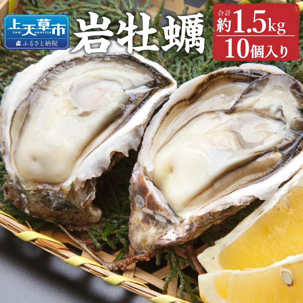 47位! 口コミ数「1件」評価「4」岩牡蠣 10個 合計約1.5kg 1個あたり150g 牡蠣 カキ かき 殻付き 加熱用 魚介類 魚貝類 貝類 海産物 冷蔵 天草産 九州産 ･･･ 