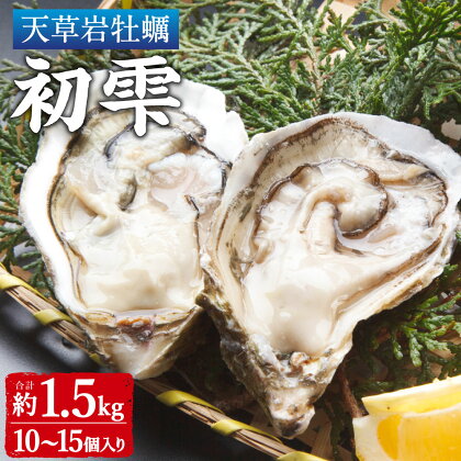 【限定100個】天草岩ガキ 初雫 10～15個 合計約1.5kg 1個あたり150g前後 牡蠣 カキ かき 殻付き 加熱用 魚介類 魚貝類 貝類 海産物 冷蔵 天草産 九州産 国産 送料無料