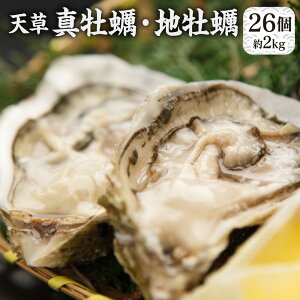 【ふるさと納税】 活き 天草 真牡蠣 10個(加熱用) と 地牡蠣 16個 (加熱用)セット 牡蠣 カキ かき 魚貝類 魚介類 貝類 国産 熊本産 不知火海産 食べ比べ 春 送料無料
