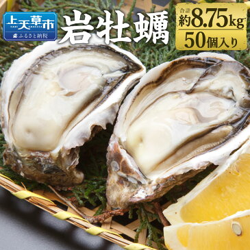 【ふるさと納税】岩牡蠣 50個 合計約8.75kg 1個あたり150g〜200g 牡蠣 カキ かき 殻付き 加熱用 魚介類 魚貝類 貝類 海産物 冷蔵 天草産 九州産 国産 送料無料