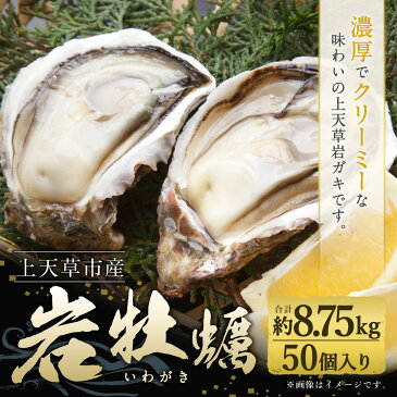 【ふるさと納税】岩牡蠣 50個 合計約8.75kg 1個あたり150g〜200g 牡蠣 カキ かき 殻付き 加熱用 魚介類 魚貝類 貝類 海産物 冷蔵 天草産 九州産 国産 送料無料