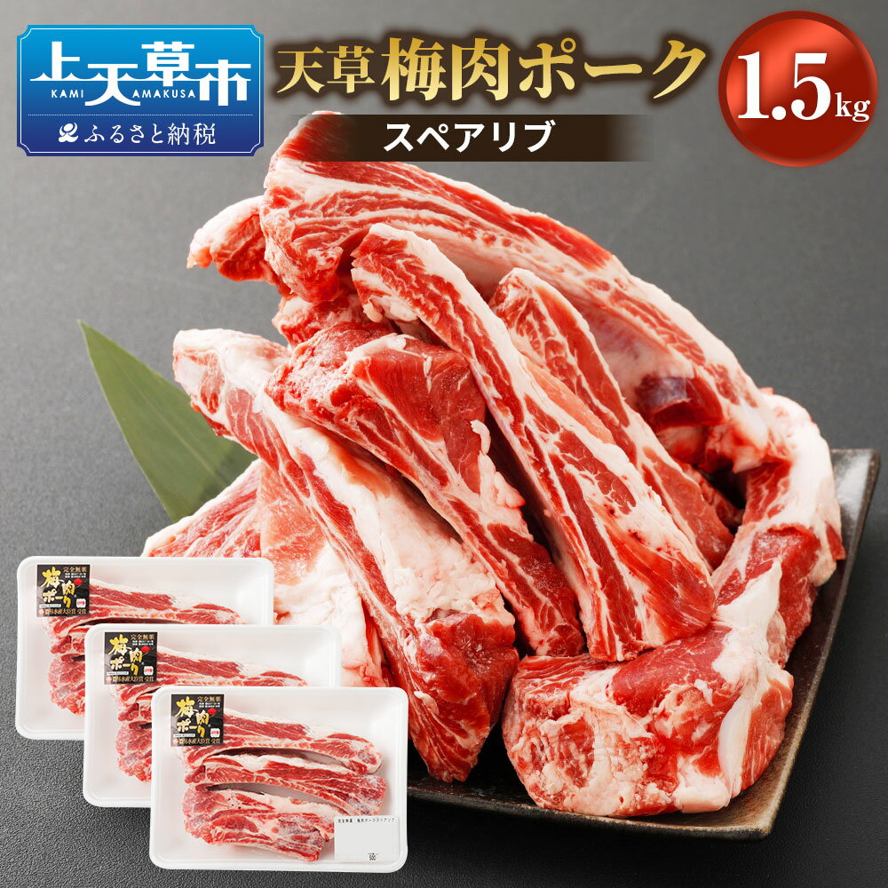 15位! 口コミ数「0件」評価「0」熊本県産 天草梅肉ポーク スペアリブ 1.5kg 500g×3パック 12本前後 農林水産大臣賞受賞 豚肉 お肉 梅肉エキス 冷凍 国産 送･･･ 