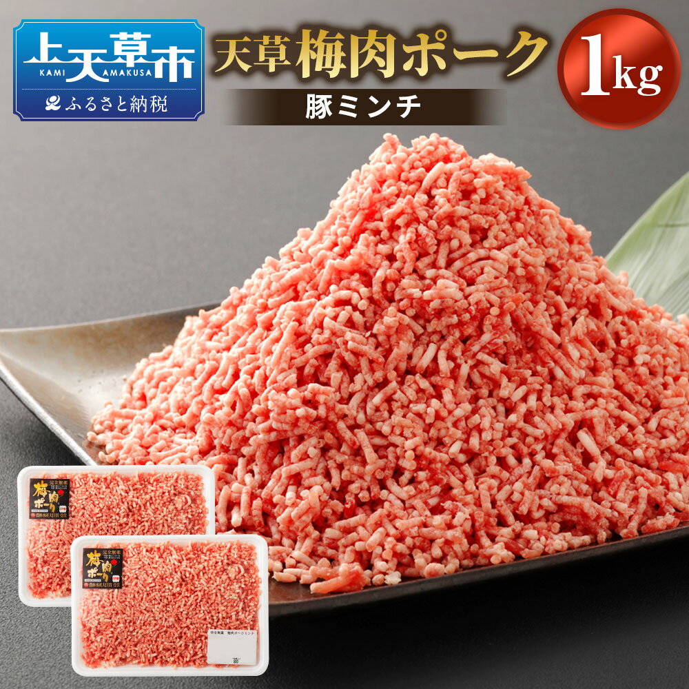 【ふるさと納税】熊本県産 天草梅肉ポーク 豚ミンチ 1kg 500g×2パック 農林水産大臣賞受賞 豚肉 お肉 梅肉エキス 冷凍 国産 送料無料