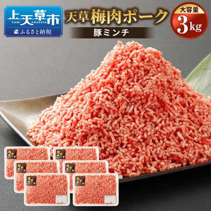 天草梅肉ポーク 豚ミンチ 大容量 3kg 500g×6パック 農林水産大臣賞受賞 豚肉 お肉 梅肉エキス 冷凍 国産 送料無料