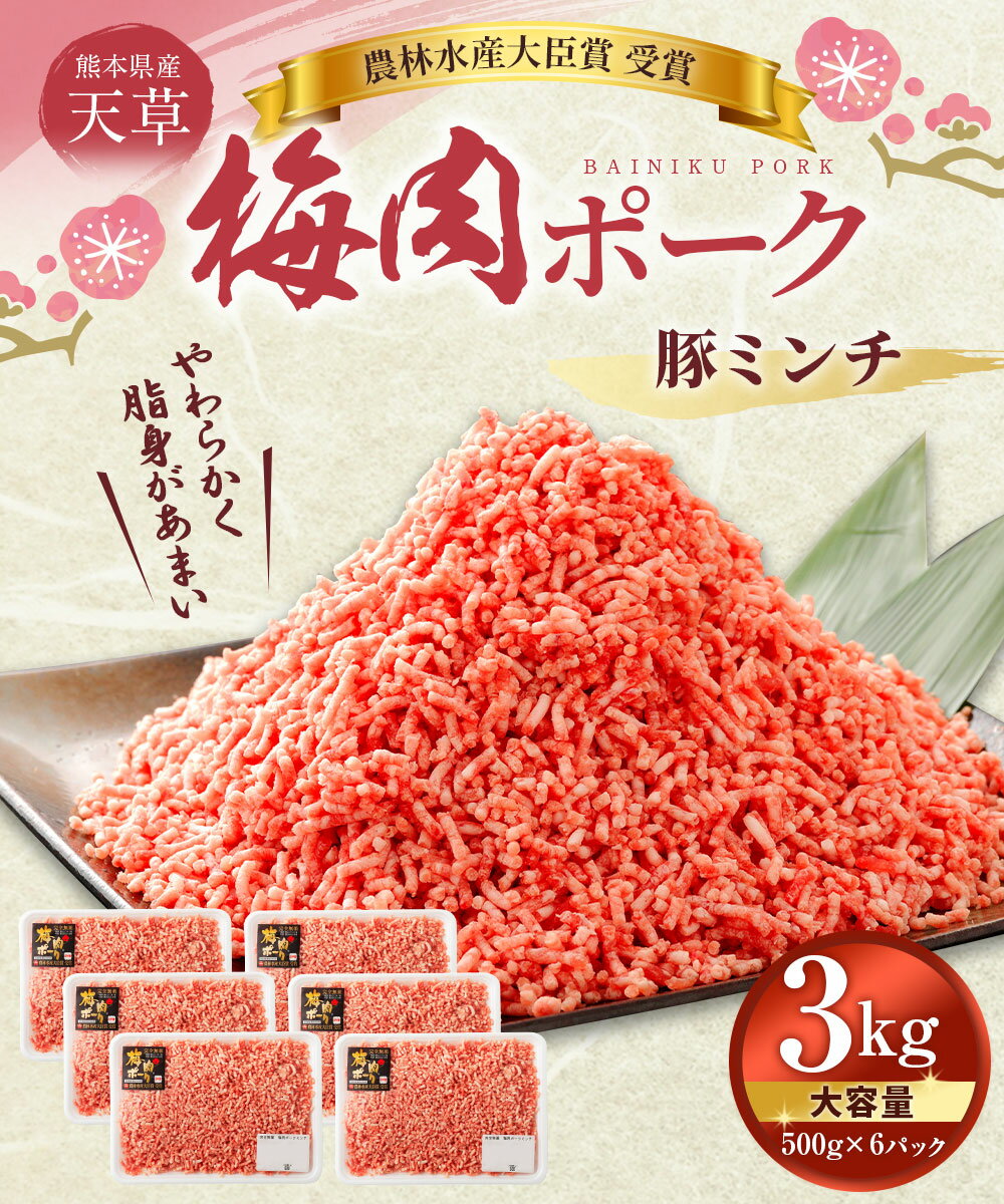 【ふるさと納税】天草梅肉ポーク 豚ミンチ 大容量 3kg 500g×6パック 農林水産大臣賞受賞 豚肉 お肉 梅肉エキス 冷凍 国産 送料無料