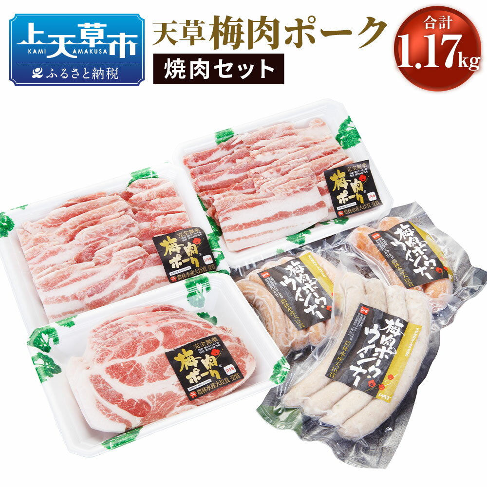 13位! 口コミ数「0件」評価「0」天草梅肉ポーク 焼肉セット 合計1.17kg 熊本県産 上天草産 九州産 梅肉 豚肉 バラ肉 ロース ウィンナー 焼肉 冷凍 送料無料