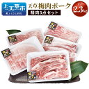 【ふるさと納税】天草梅肉ポーク 精肉3点セット 合計2.3kg 熊本県産 上天草産 九州産 梅肉 豚肉 バラ肉 モモ肉 スペアリブ 焼肉 BBQ バーベキュー 冷凍 送料無料