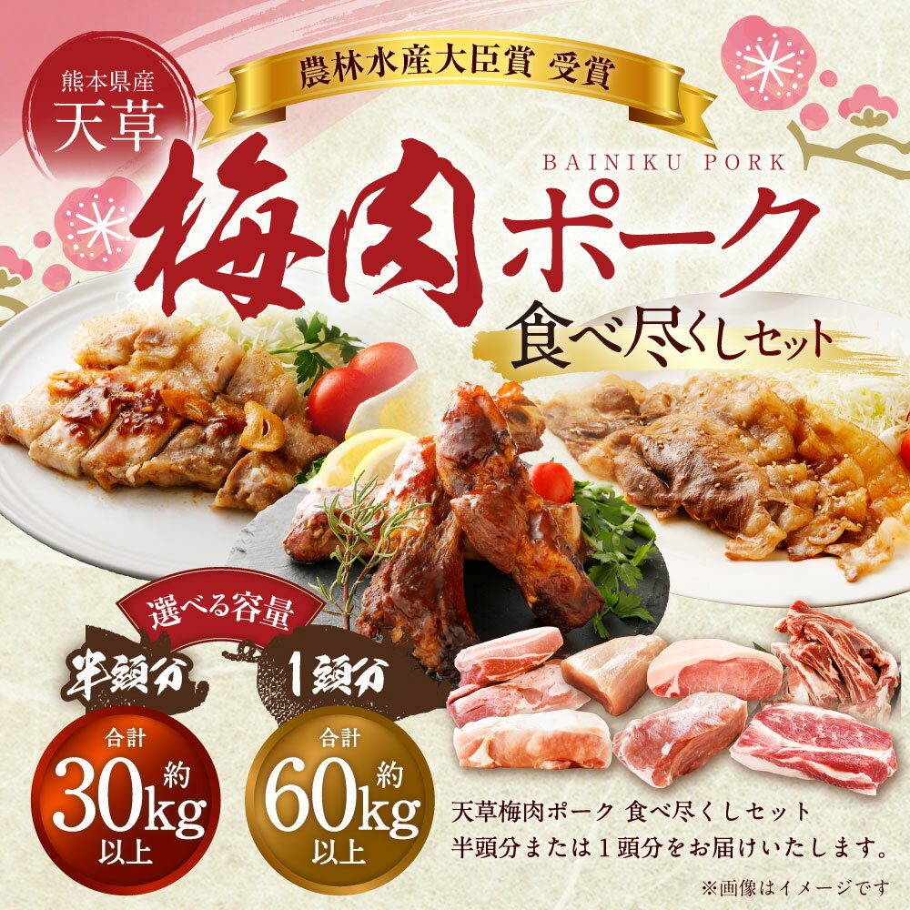 熊本県上天草市の画像2