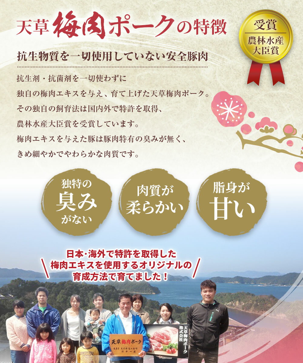 熊本県上天草市の画像3