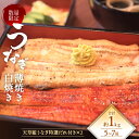 白焼き 【ふるさと納税】数量限定 海水育ちの天草藍うなぎ 蒲焼き 白焼き 5尾～7尾セット 合計約1kg うなぎ 蒲焼き ウナギ 鰻 国産 国内産 蒲焼 蒲焼セット ニホンウナギ 熊本産 グルメ ギフト 老舗 贈答品 お取り寄せ 送料無料