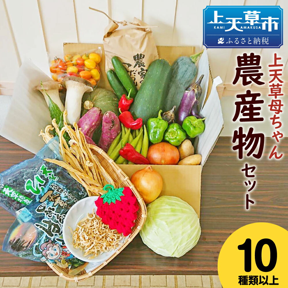 1位! 口コミ数「2件」評価「5」上天草母ちゃん農産物セット 野菜・お米・加工品10種類以上！ 野菜 米 季節 旬 セット 詰め合わせ 九州 熊本県 上天草市 冷蔵 春 送料･･･ 