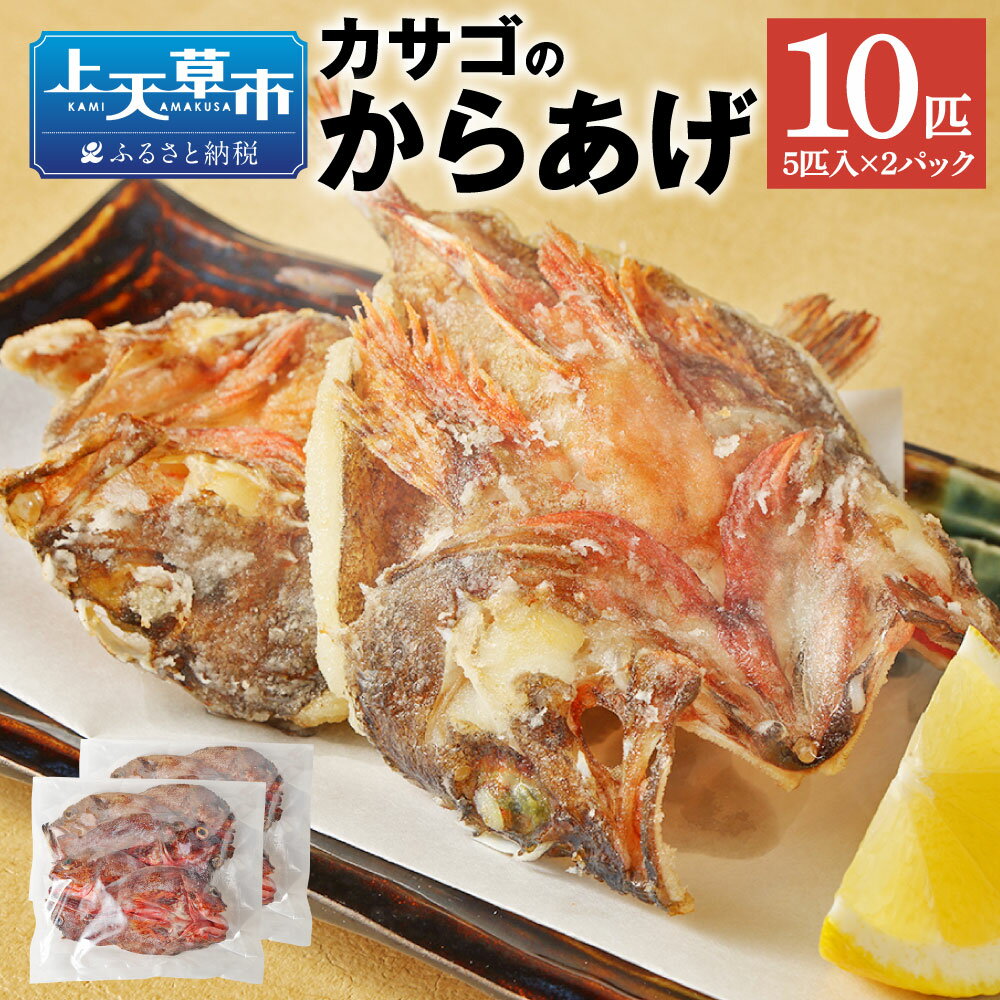 カサゴのからあげ 5匹×2パック 合計10匹 カサゴ かさご 唐揚げ から揚げ 海産物 惣菜 冷凍 九州 熊本県 上天草市 送料無料