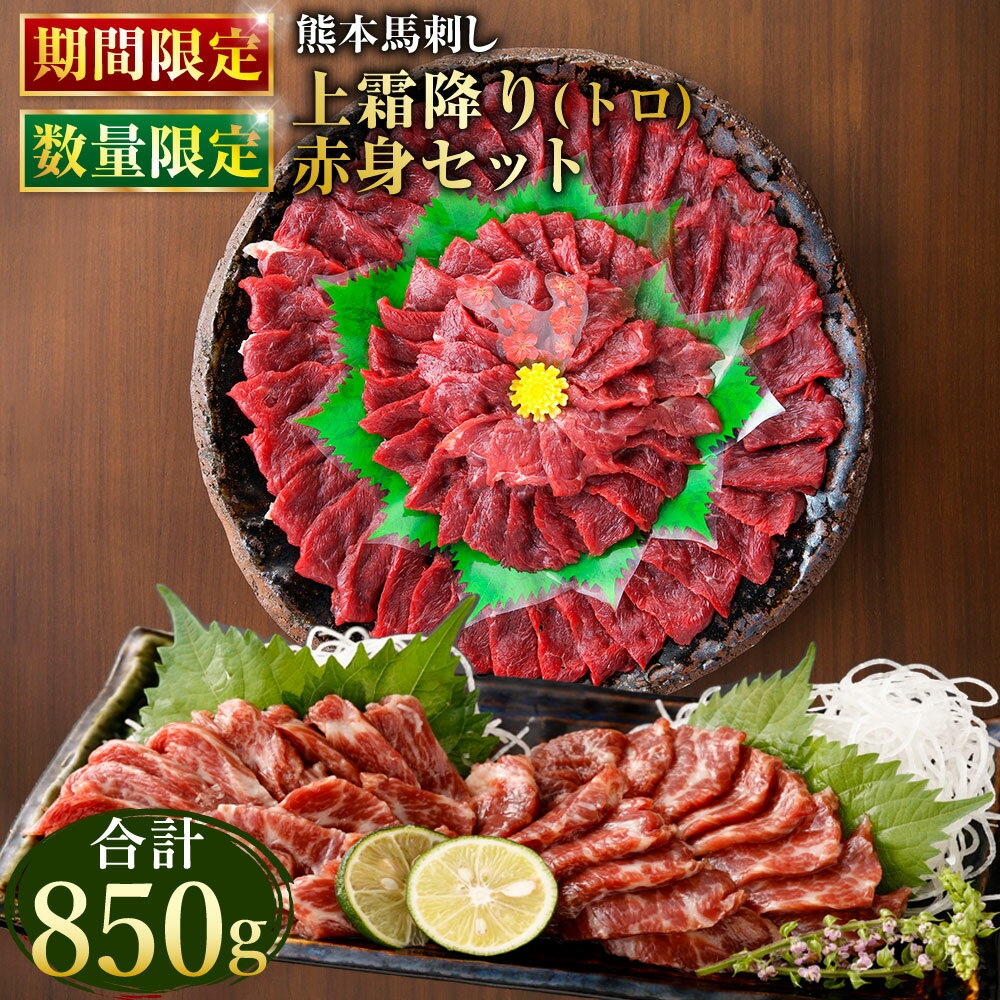 【ふるさと納税】【数量限定】【期間限定 赤身400g→450g】 熊本 馬刺し 上霜降り トロ 400g ＋ 赤身 450g 合計850gセット たれ付き お肉 馬肉 肉 馬刺 霜降り肉 霜降り 冷凍 小分け 新鮮 産地直送 タレ付き 九州 熊本県 送料無料のサムネイル