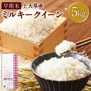 【ふるさと納税】早期米 令和7年産 上天草産 ミルキークイーン 5kg お米 おこめ 単一原料米 低アミロース米 うるち精米 白米 おにぎり お弁当 ご飯 ごは...