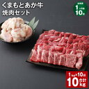 【ふるさと納税】【定期便】【1ヶ月毎10回】くまもとあか牛 焼肉セット 計10kg(1kg×10回) もも焼肉 700g ホルモン 300g 和牛 牛肉 お肉 ...