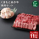 【ふるさと納税】【定期便】【1ヶ月毎11回】くまもとあか牛 焼肉セット 計11kg(1kg×11回) もも焼肉 700g ホルモン 300g 和牛 牛肉 お肉 ...