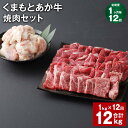 【ふるさと納税】【定期便】【1ヶ月毎12回】くまもとあか牛 焼肉セット 計12kg(1kg×12回) もも焼肉 700g ホルモン 300g 和牛 牛肉 お肉 ...
