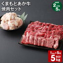 【ふるさと納税】【定期便】【2ヶ月毎5回】くまもとあか牛 焼肉セット 計5kg(1kg×5回) もも焼肉 700g ホルモン 300g 和牛 牛肉 お肉 あか牛...