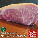 【ふるさと納税】【定期便】【1ヶ月毎12回】GI認証くまもとあか牛 サーロインブロック 計12kg(1kg×12回)サーロイン 牛肉 お肉 肉 ブランド牛 和牛...