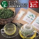 【ふるさと納税】【定期便】【1ヶ月毎3回】モリンガ茶(20個×2パック)&モリンガパウダー(60g×1パック)セット 天草産100% 計3セット(1セット×3回...