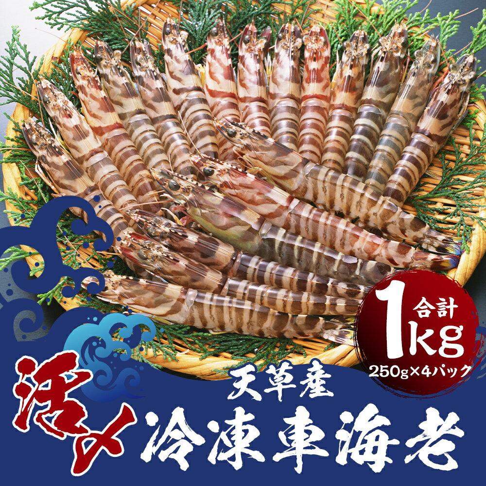 【ふるさと納税】天草産活〆冷凍車海老 250g×4パック 合計1kg 28〜40尾 くるまえび 海老 海鮮 国産 九州産 熊本県産 冷凍 小分け 真空パック 急速冷凍 送料無料