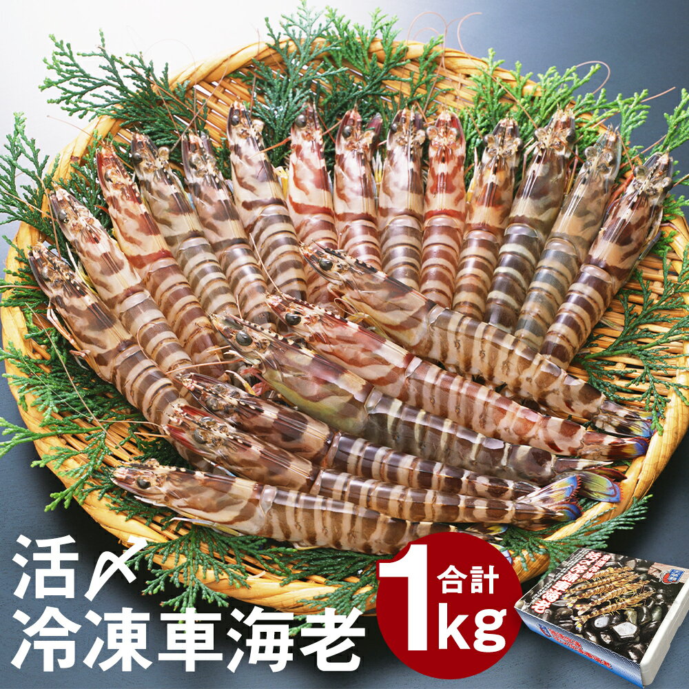 【ふるさと納税】天草産活〆冷凍車海老 250g×4パック 合計1kg 28〜40尾 くるまえび 海老 海鮮 国産 九州産 熊本県産 冷凍 小分け 真空パック 急速冷凍 送料無料