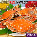 【ふるさと納税】天草産 天然ワタリガニ オスのみ 1kg~1.2kg 3杯~6杯 選べる内容量 蟹 カニ 渡り蟹 海産物 海鮮 海の幸 天然 国産 九州 冷凍 熊本県 上天草市 送料無料 楽天スーパーSALE 9月開催