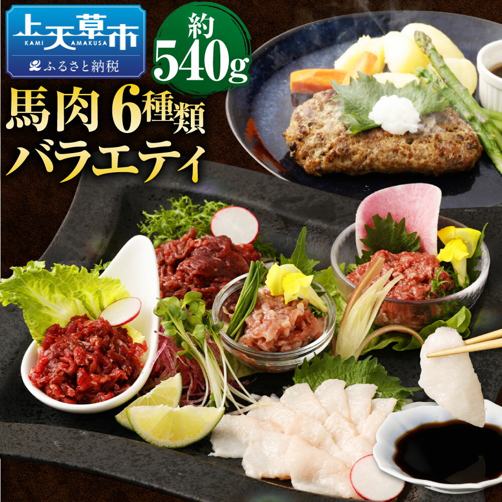 【ふるさと納税】6種 馬肉バラエティ 約540g 真空パック